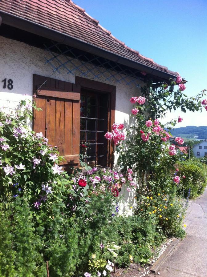 Micro-Apartment In Seenaehe Fusslaeufig Zum See:)) エーニンゲン エクステリア 写真